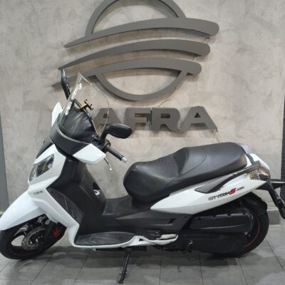 CITYCOM 300I 2017